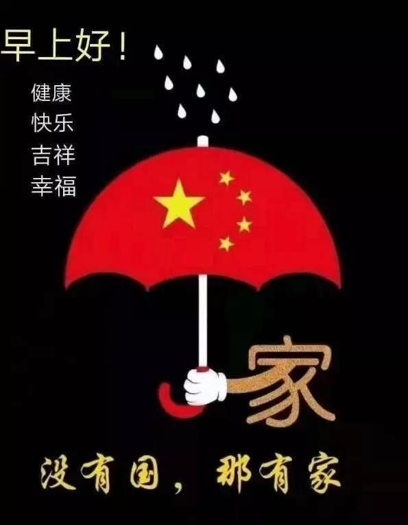 成都“共享猫咪”9块9一天，宠物换来换去，你能接受吗？